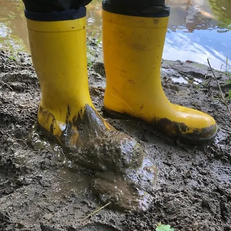 Rehblick Apartamento