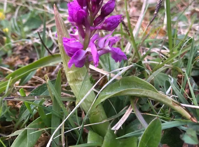 Apartment Rehblick Rockeskyll