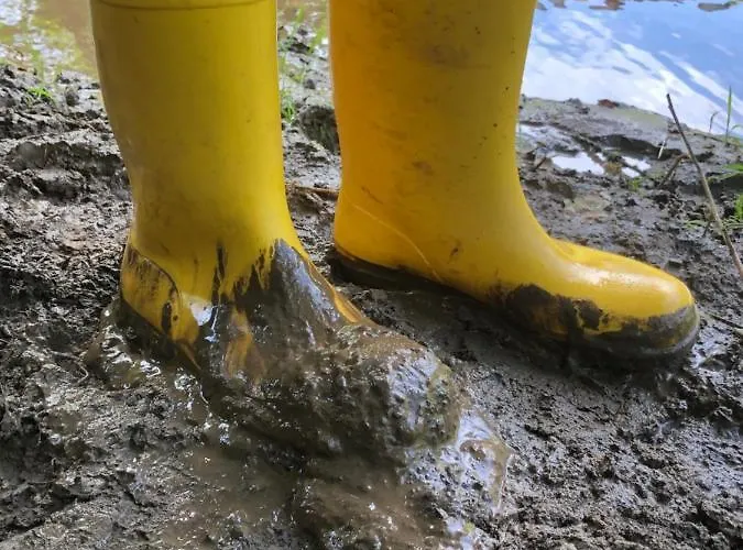 Rehblick Apartamento